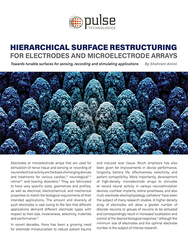 HIERARCHICAL SURFACE RESTRUCTURING FOR ELECTRODES AND MICROELECTRODE ARRAYS