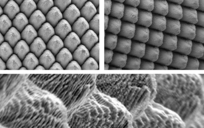 Laser Restructuring Enhances Electrode Properties